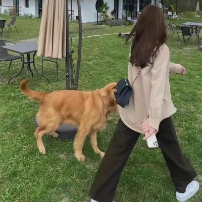 小可爱娜斯佳第二季 在线观看
