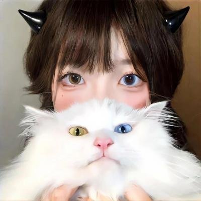 沙哈达 在线观看